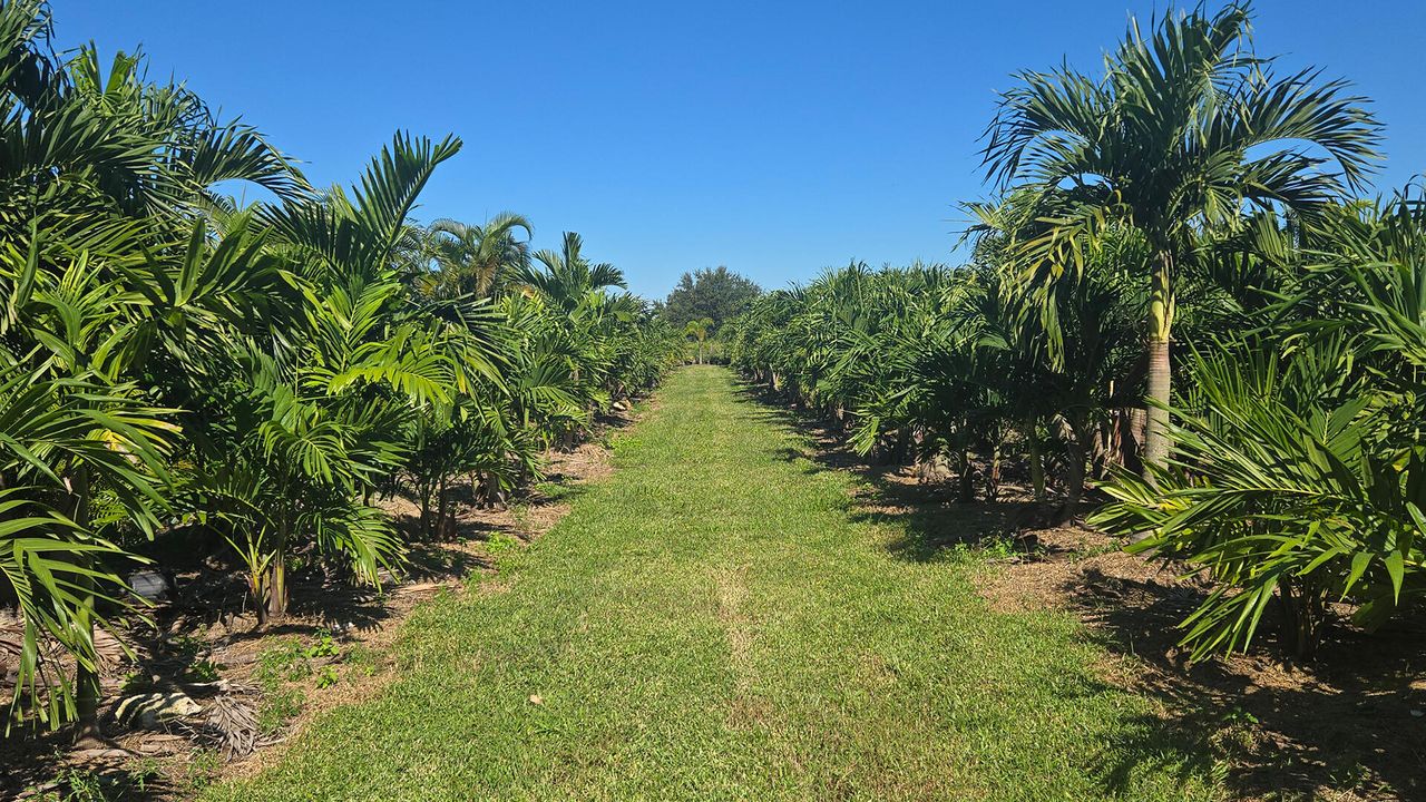 For Sale: $625,000 (0 beds, 0 baths, 0 Square Feet)