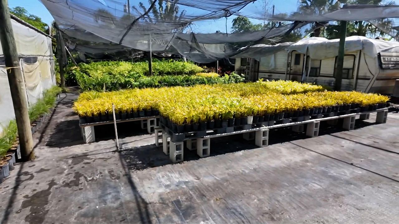 For Sale: $625,000 (0 beds, 0 baths, 0 Square Feet)