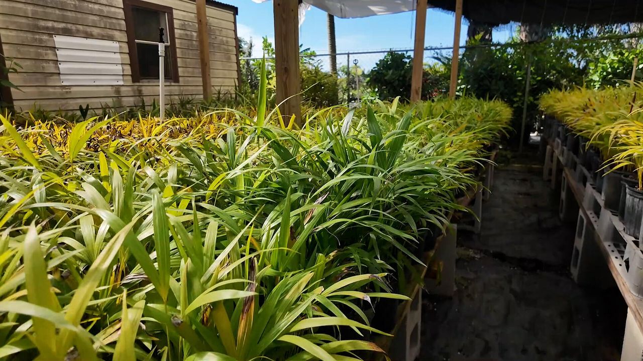 For Sale: $625,000 (0 beds, 0 baths, 0 Square Feet)