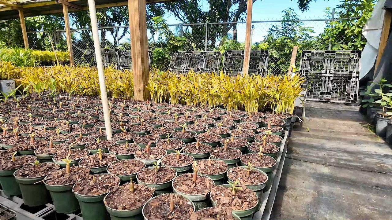 For Sale: $625,000 (0 beds, 0 baths, 0 Square Feet)