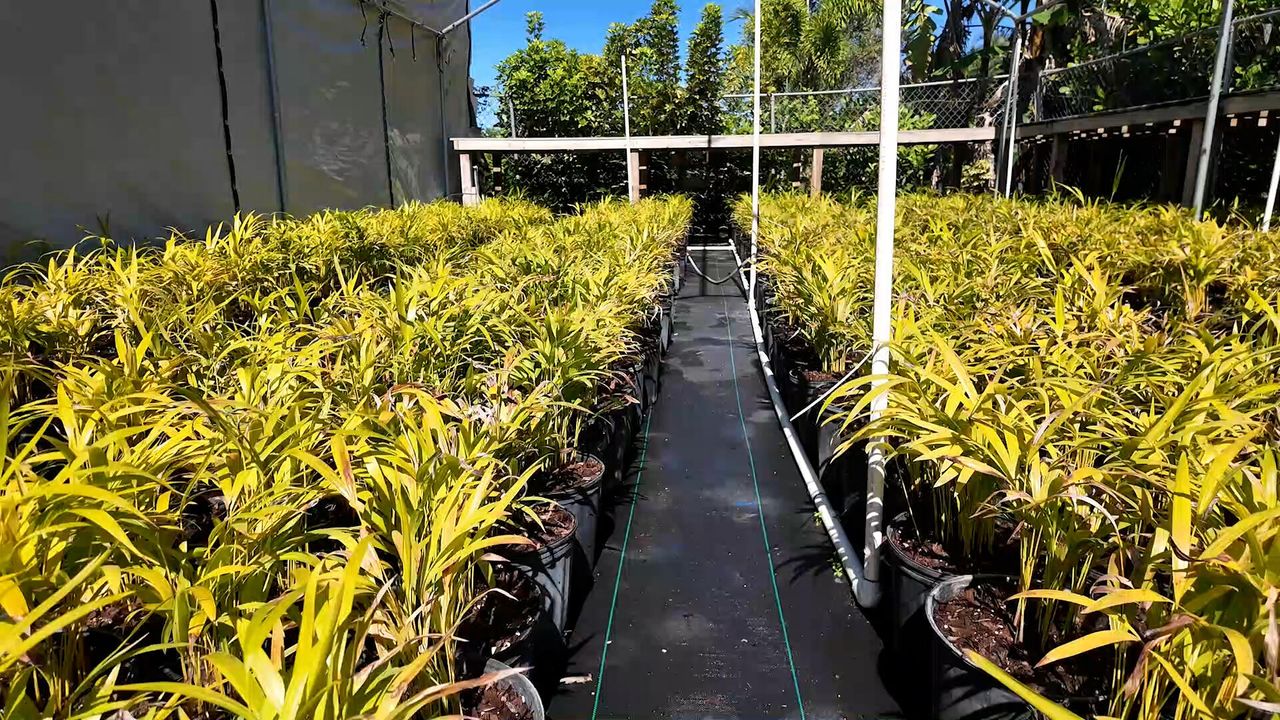 For Sale: $625,000 (0 beds, 0 baths, 0 Square Feet)