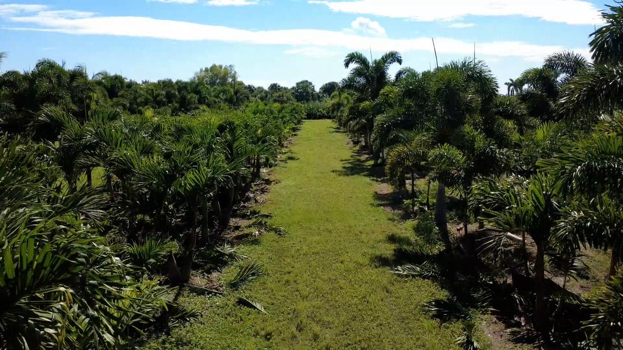 For Sale: $625,000 (0 beds, 0 baths, 0 Square Feet)