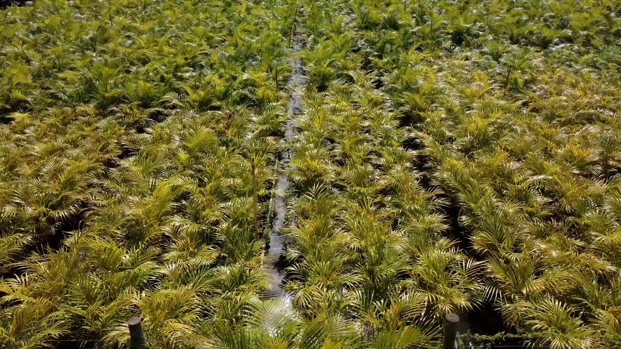 For Sale: $625,000 (0 beds, 0 baths, 0 Square Feet)