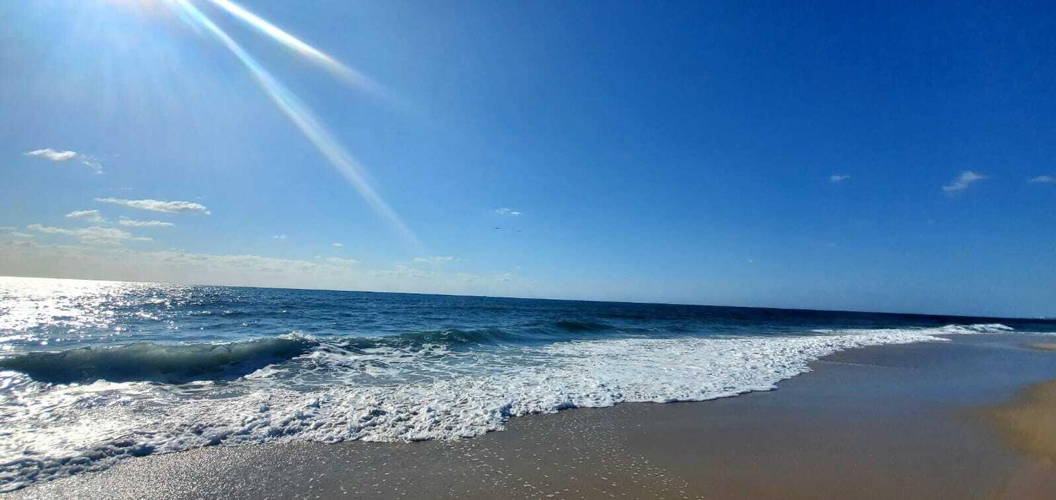 На продажу: $185,000 (1 спален, 1 ванн, 966 Квадратных фут)