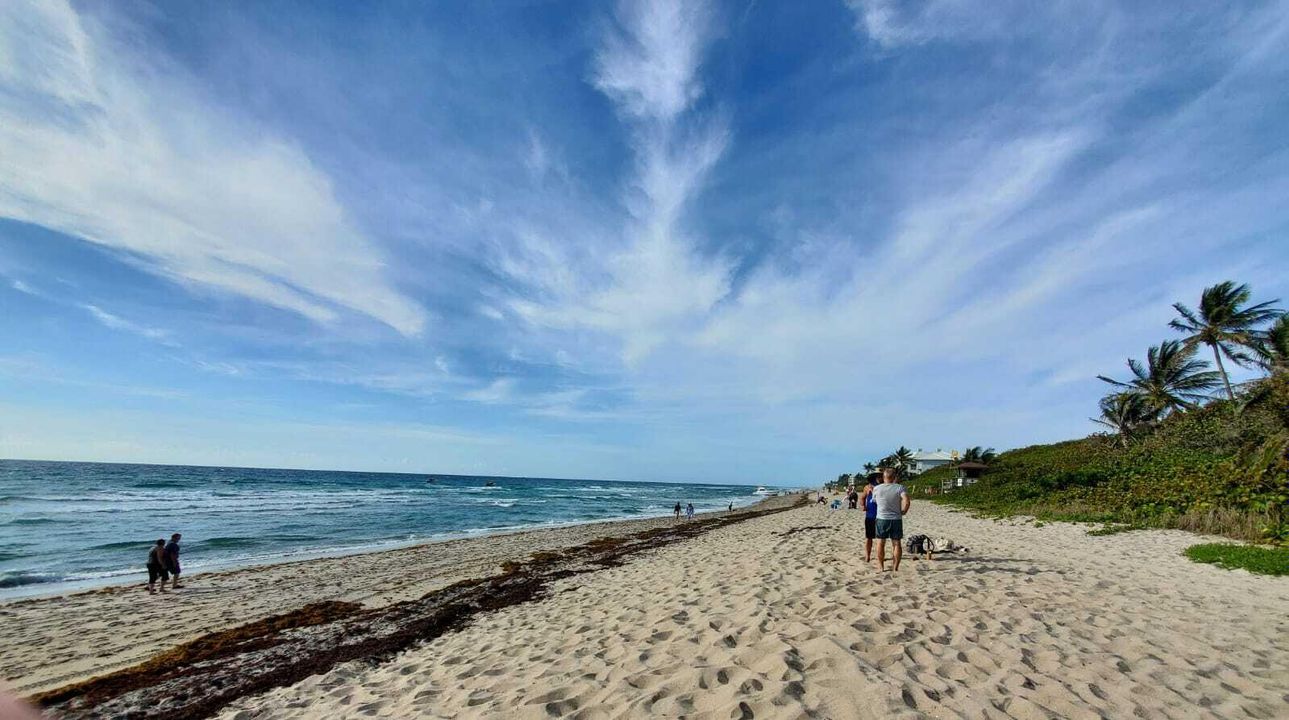 На продажу: $185,000 (1 спален, 1 ванн, 966 Квадратных фут)