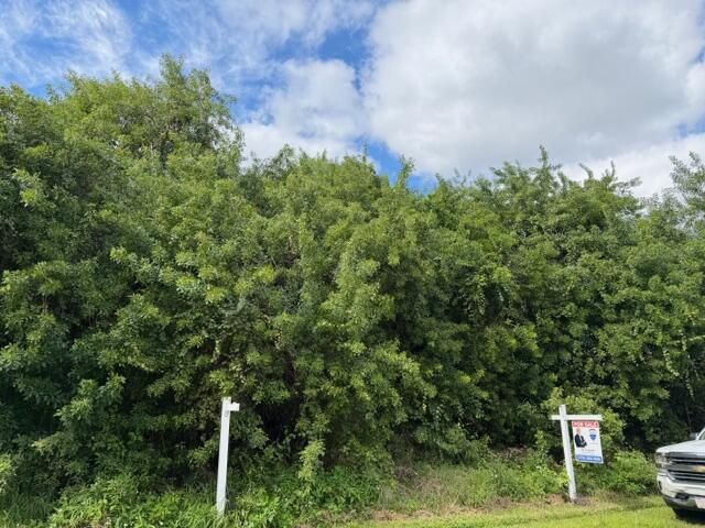 For Sale: $155,000 (0 beds, 0 baths, 0 Square Feet)