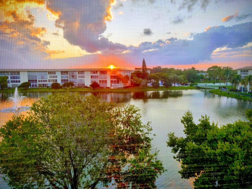 Activo con contrato: $2,300 (2 camas, 2 baños, 1002 Pies cuadrados)