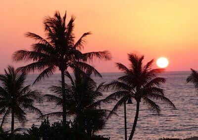 Active With Contract: $10,000 (1 beds, 1 baths, 868 Square Feet)