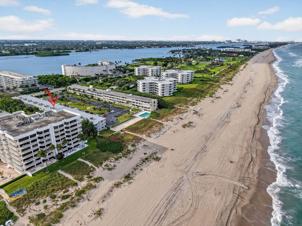 最近租的: $1,900 (1 贝兹, 1 浴室, 640 平方英尺)