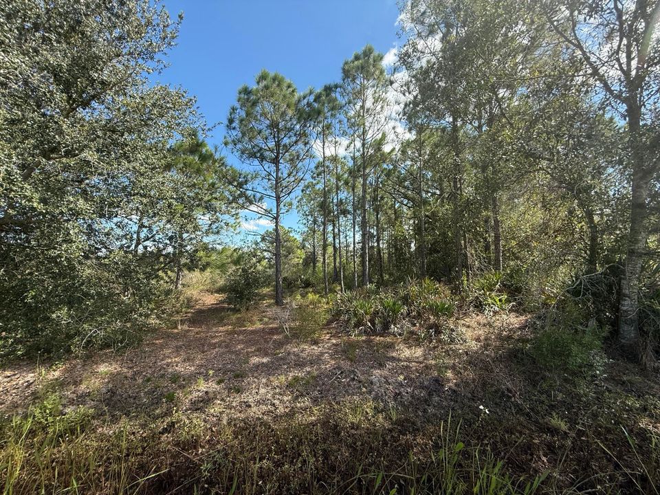 Active With Contract: $56,500 (0 beds, 0 baths, 0 Square Feet)