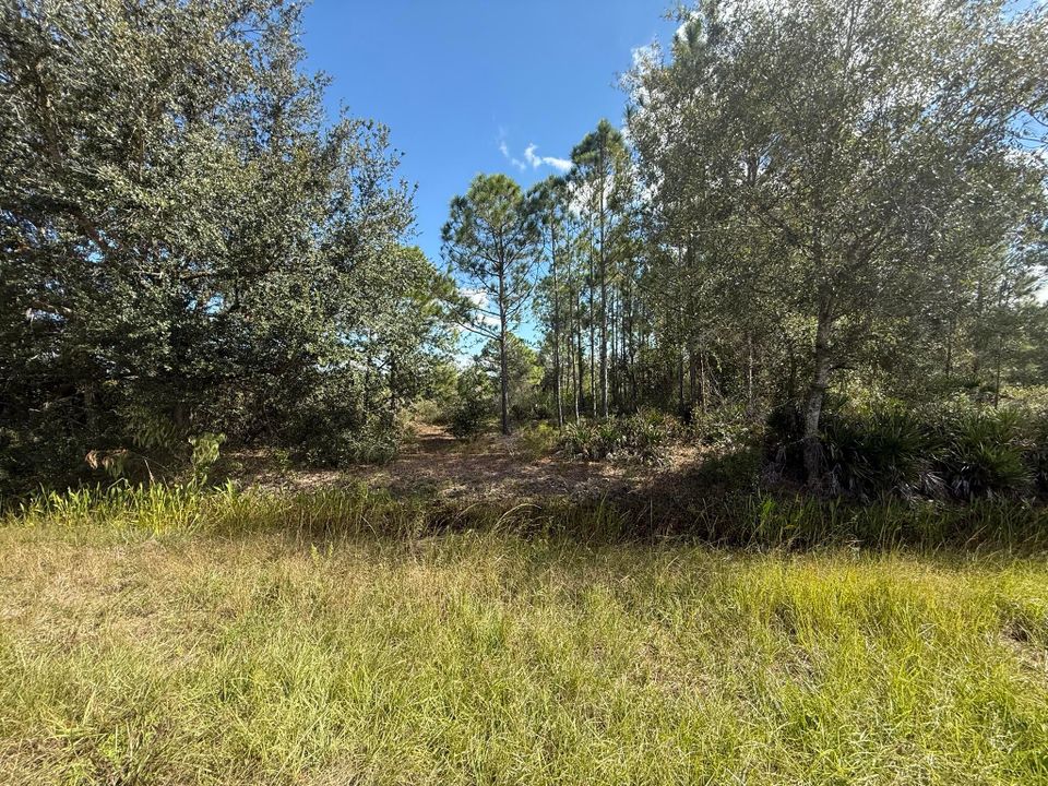 Active With Contract: $56,500 (0 beds, 0 baths, 0 Square Feet)