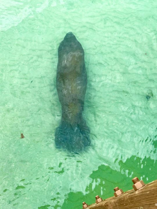 For Sale: $584,500 (3 beds, 2 baths, 1498 Square Feet)