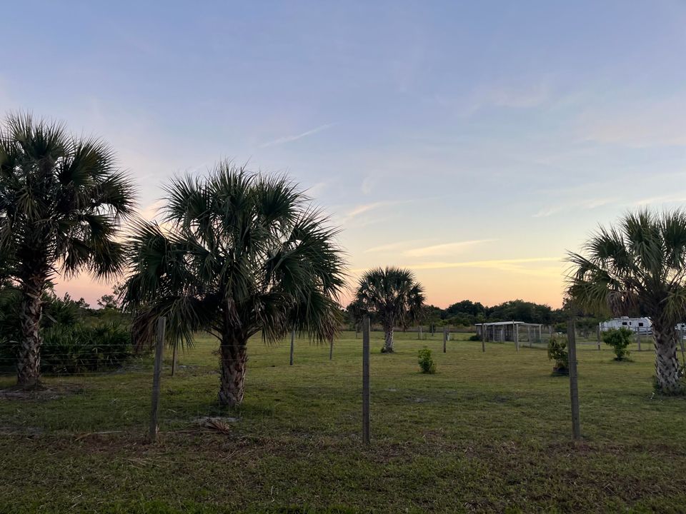 На продажу: $449,900 (3 спален, 2 ванн, 1303 Квадратных фут)