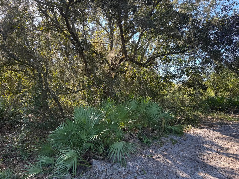 待售: $75,000 (0 贝兹, 0 浴室, 0 平方英尺)