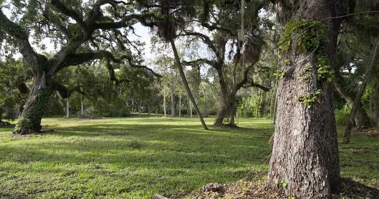 For Sale: $1,200,000 (0 beds, 0 baths, 0 Square Feet)