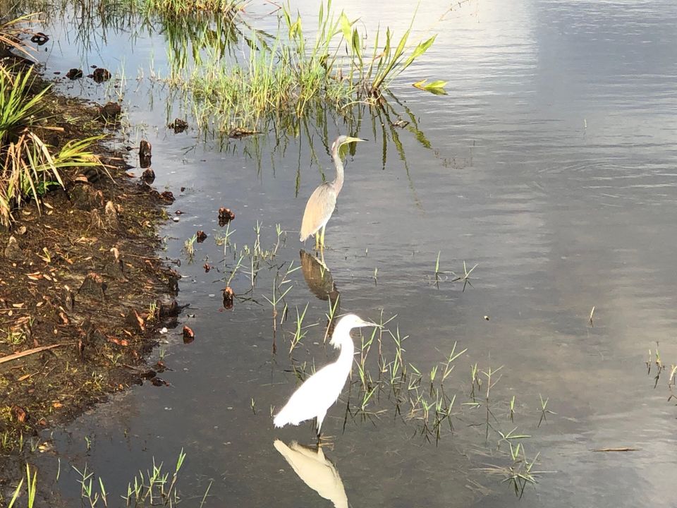 合同活跃: $329,000 (3 贝兹, 2 浴室, 1481 平方英尺)