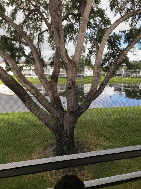 合同活跃: $99,000 (2 贝兹, 1 浴室, 819 平方英尺)