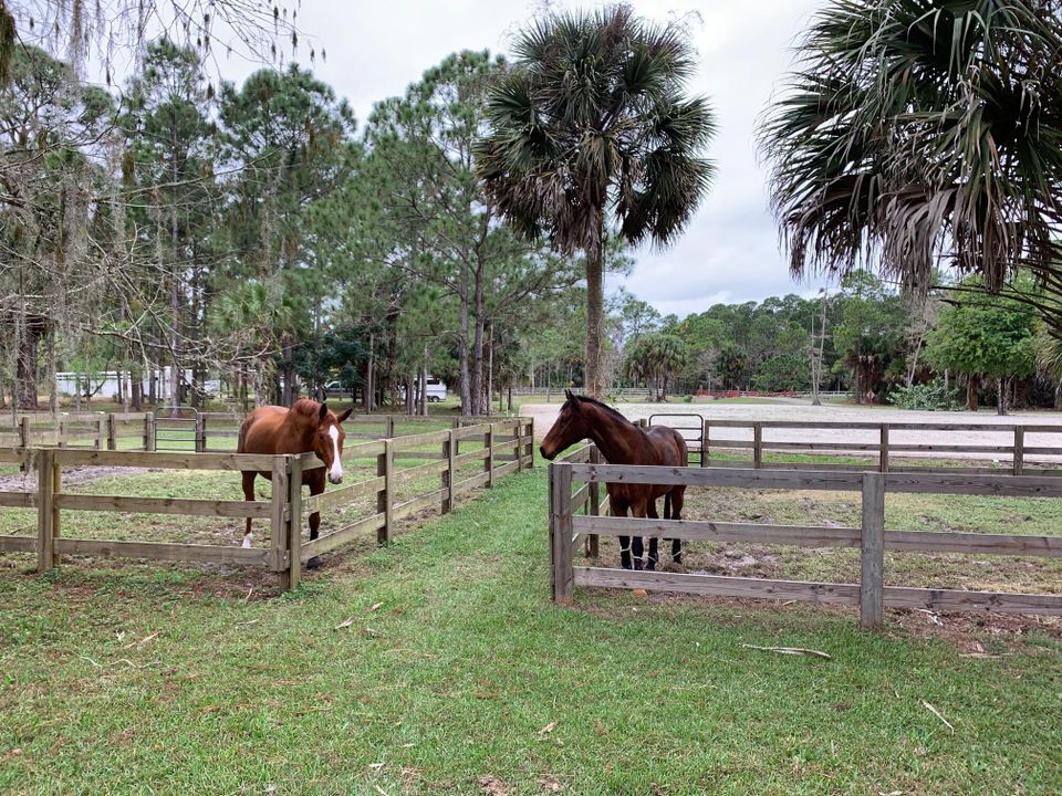 В аренду: $750 (0 спален, 1 ванн, 0 Квадратных фут)