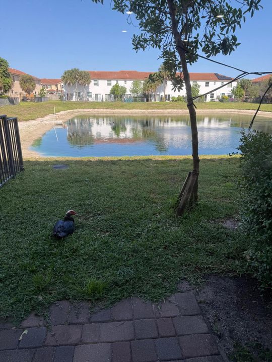 Active With Contract: $2,600 (3 beds, 2 baths, 1499 Square Feet)