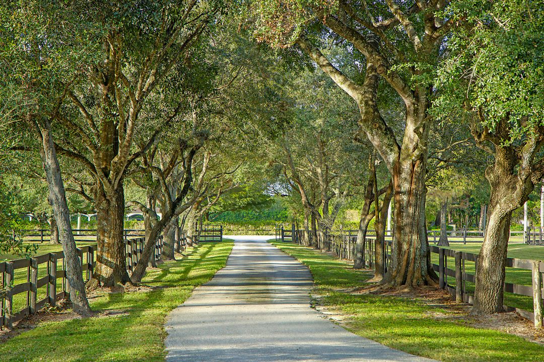 En Renta: $13,500 (6 camas, 4 baños, 3928 Pies cuadrados)