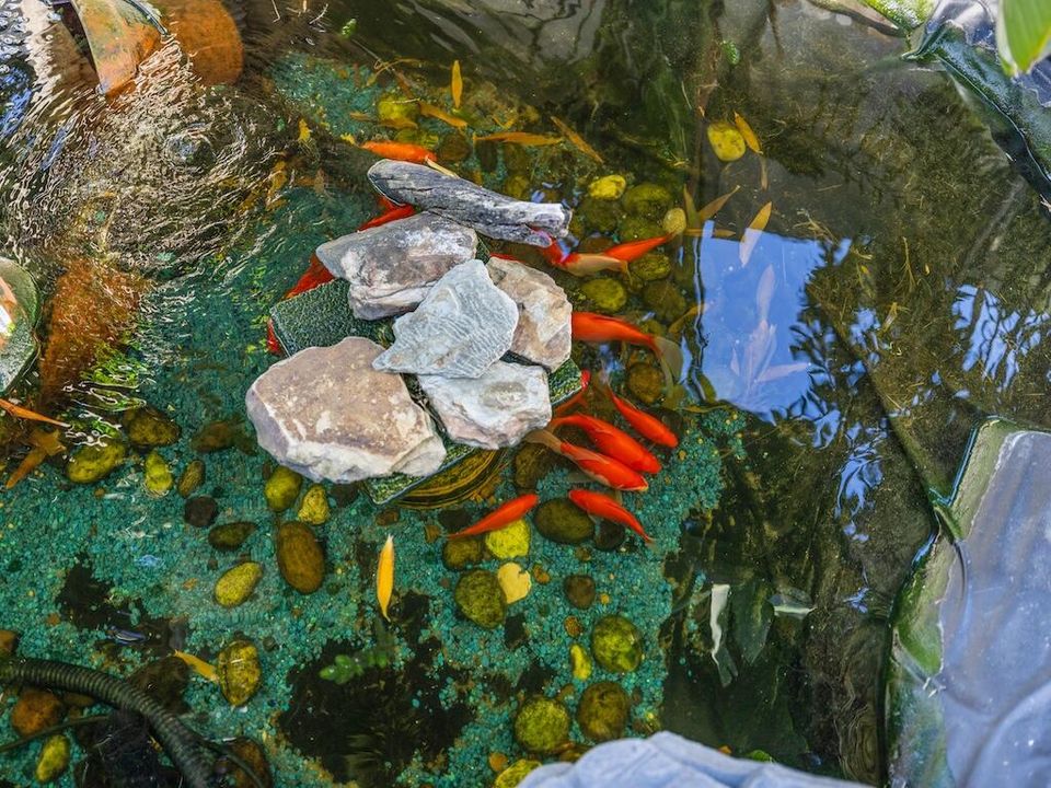 合同活跃: $239,900 (3 贝兹, 2 浴室, 1280 平方英尺)