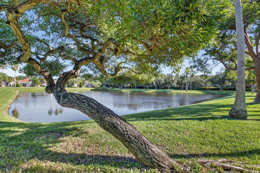 For Sale: $739,000 (3 beds, 2 baths, 1567 Square Feet)