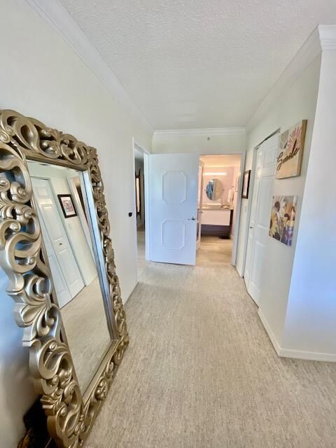 出租: $5,500 (3 贝兹, 2 浴室, 1571 平方英尺)