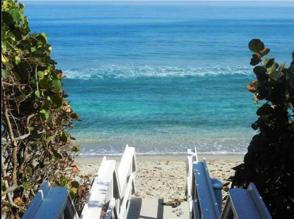 出租: $5,500 (3 贝兹, 2 浴室, 1571 平方英尺)