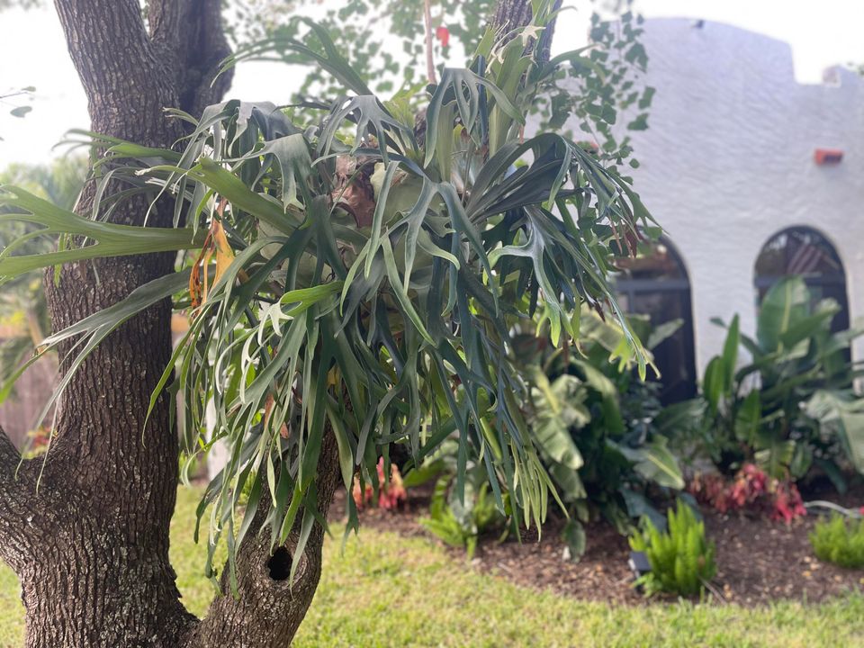 Active With Contract: $549,900 (2 beds, 2 baths, 1100 Square Feet)