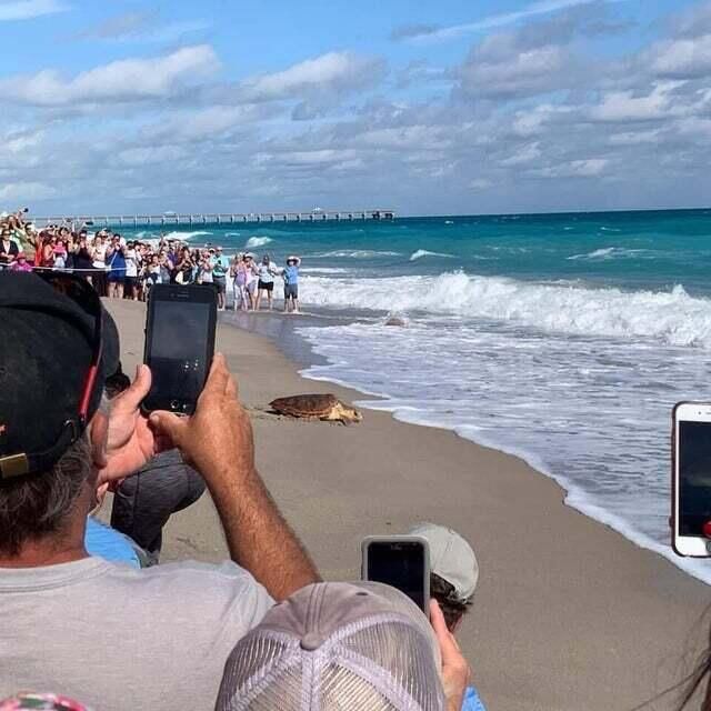 En Venta: $1,397,000 (3 camas, 3 baños, 1822 Pies cuadrados)