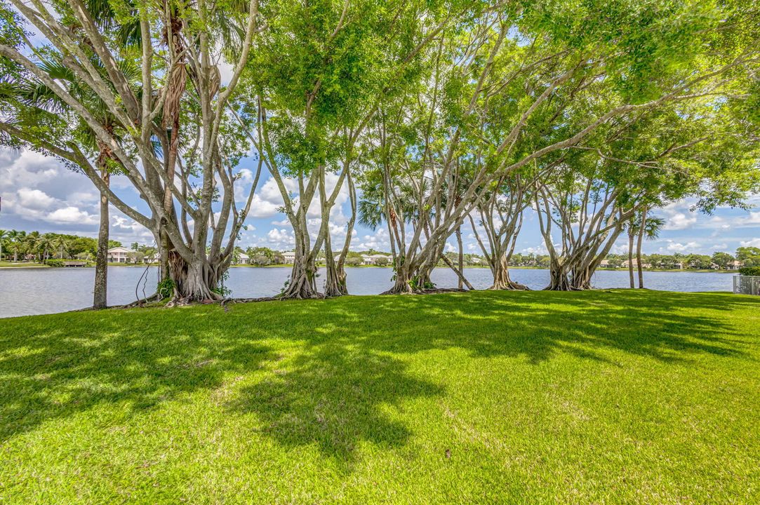 出租: $5,800 (3 贝兹, 2 浴室, 1358 平方英尺)