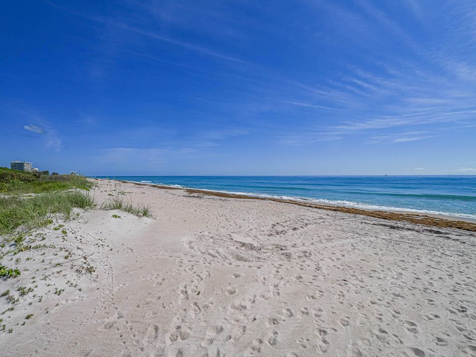 В аренду: $5,000 (2 спален, 2 ванн, 1040 Квадратных фут)