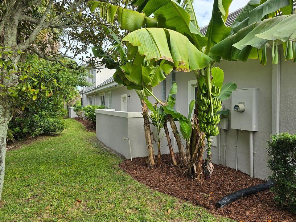 待售: $1,585,000 (5 贝兹, 6 浴室, 4909 平方英尺)