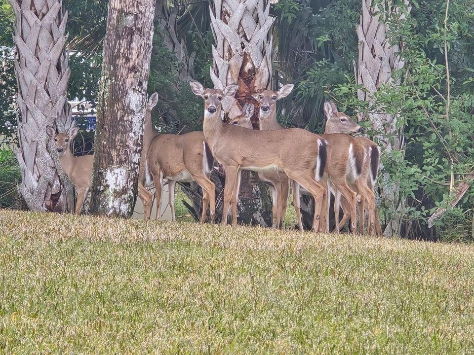 待售: $1,585,000 (5 贝兹, 6 浴室, 4909 平方英尺)