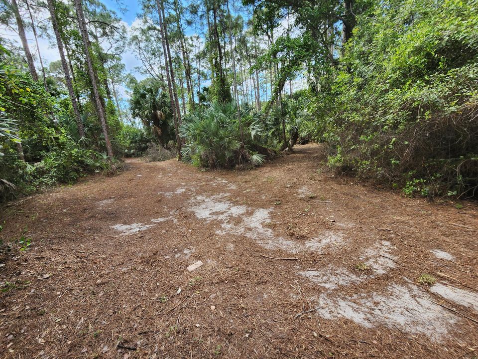 For Sale: $289,000 (0 beds, 0 baths, 0 Square Feet)