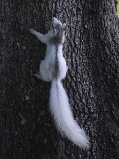 For Sale: $274,500 (2 beds, 2 baths, 1080 Square Feet)