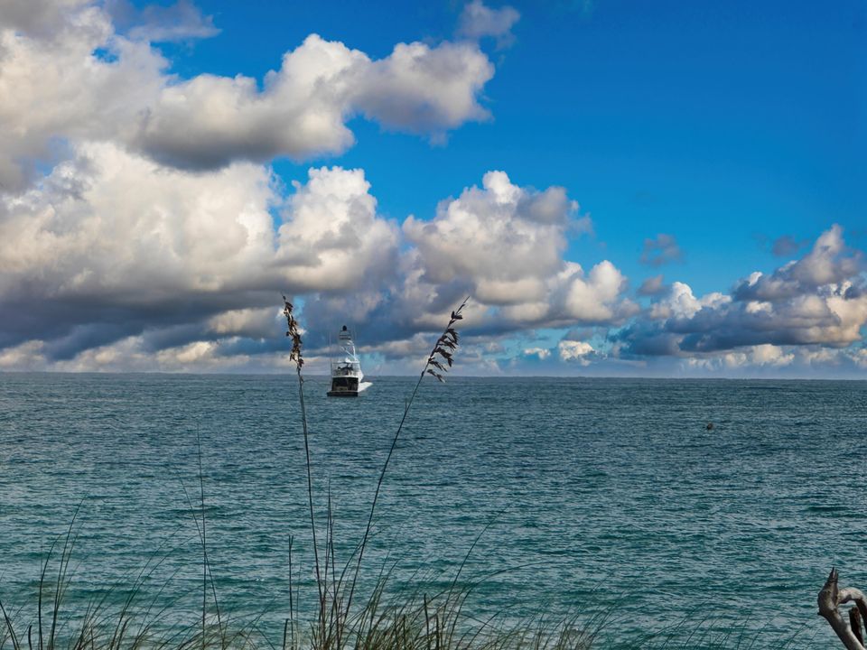 For Sale: $7,500,000 (4 beds, 4 baths, 3434 Square Feet)