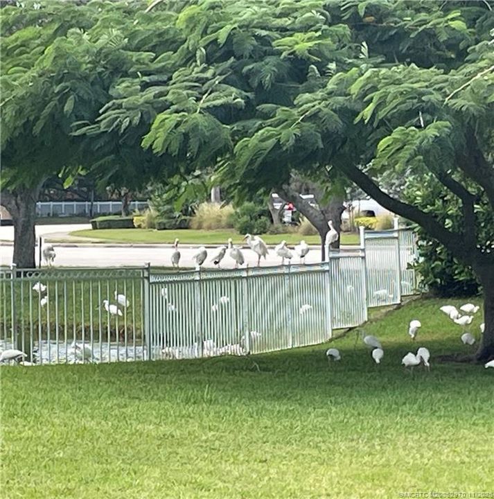 En Venta: $299,000 (3 camas, 2 baños, 1427 Pies cuadrados)