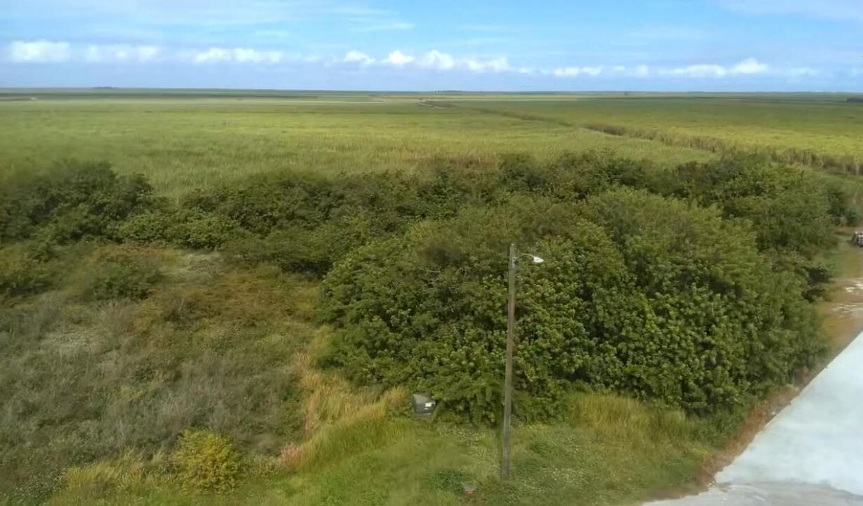 For Sale: $65,000 (0 beds, 0 baths, 0 Square Feet)