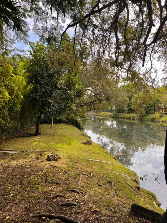 En Venta: $1,260,000 (4 camas, 2 baños, 1894 Pies cuadrados)