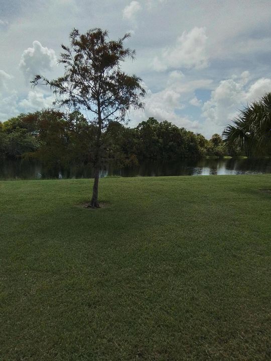 For Rent: $2,300 (3 beds, 2 baths, 1532 Square Feet)