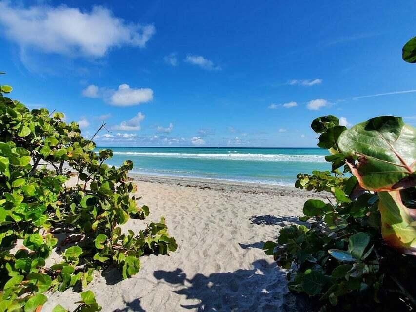 В аренду: $5,000 (1 спален, 1 ванн, 860 Квадратных фут)