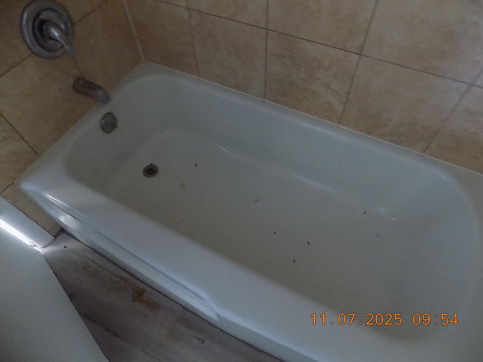 For Sale: $196,000 (2 beds, 2 baths, 950 Square Feet)