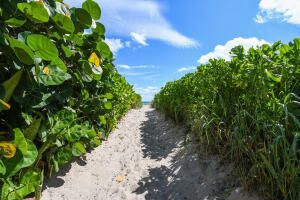 For Rent: $1,995 (1 beds, 1 baths, 620 Square Feet)