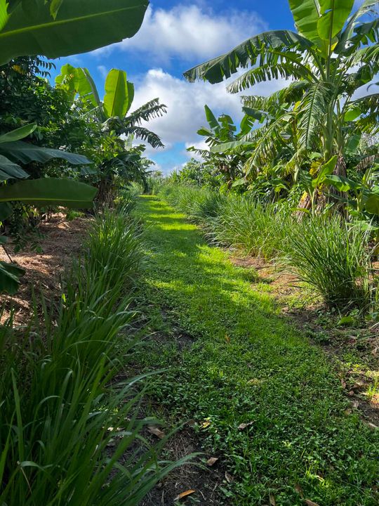 En Venta: $1,100,000 (0 camas, 0 baños, 0 Pies cuadrados)