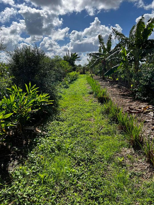 En Venta: $1,100,000 (0 camas, 0 baños, 0 Pies cuadrados)