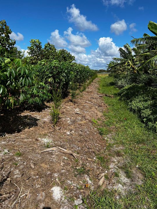 En Venta: $1,100,000 (0 camas, 0 baños, 0 Pies cuadrados)