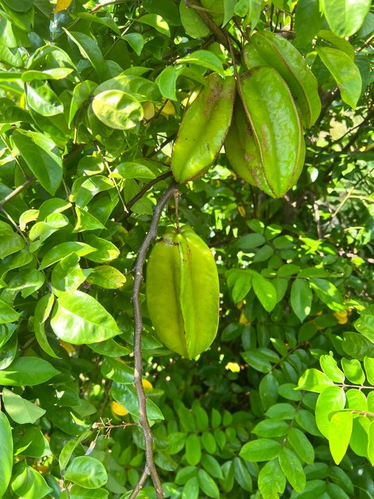 En Venta: $1,100,000 (0 camas, 0 baños, 0 Pies cuadrados)