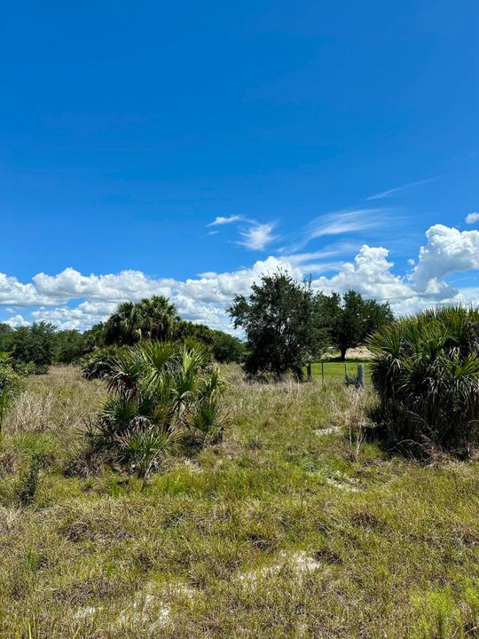 For Sale: $349,000 (0 beds, 0 baths, 0 Square Feet)