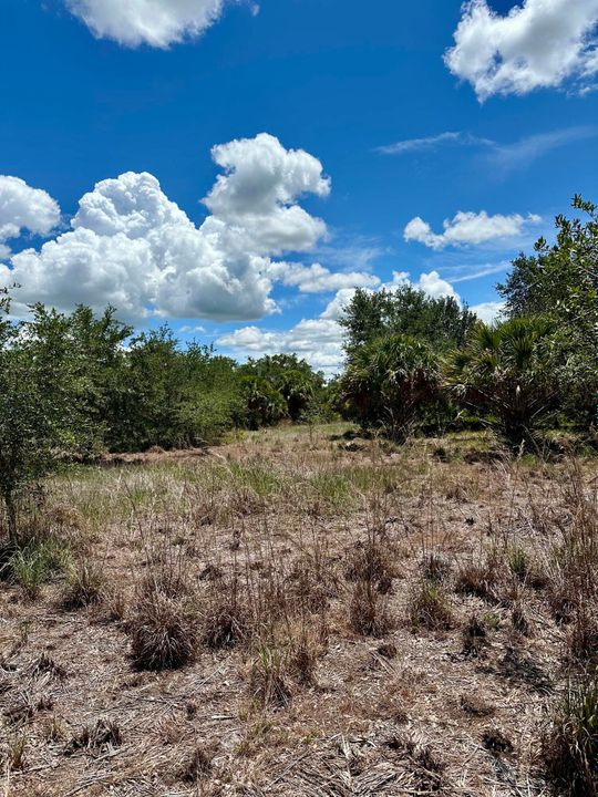 For Sale: $349,000 (0 beds, 0 baths, 0 Square Feet)